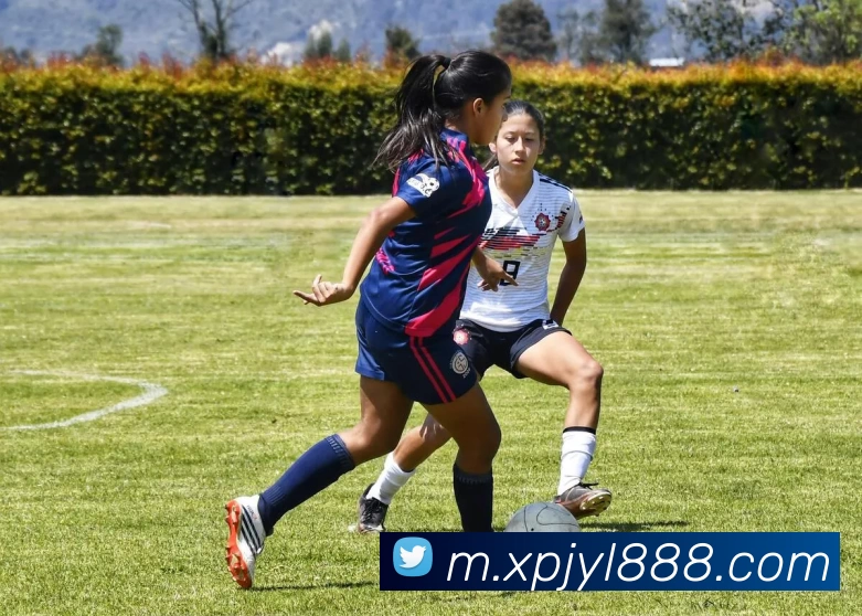 新葡京娱乐全站App